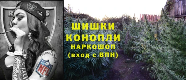 дмт Арсеньев