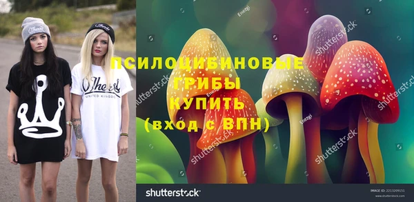 Альфа ПВП Армянск