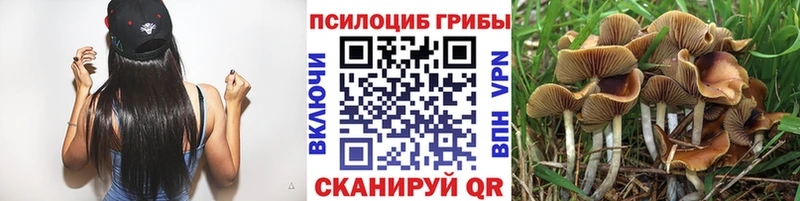 Псилоцибиновые грибы прущие грибы  Нарьян-Мар 